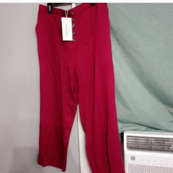 🍁🍂Nwt Bloomchic pants size 14-16 - Picture 4 of 5